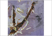 Peinture contemporaine par Marie-Claude Bohnenblust Lenglart Peintre Plasticien